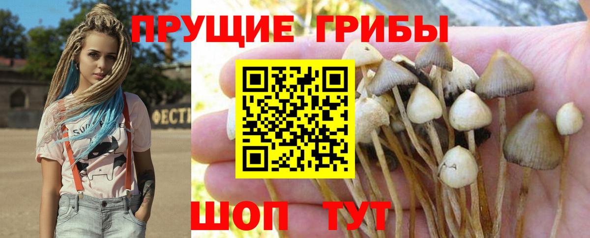 Псилоцибиновые грибы прущие грибы  Псилоцибиновые грибы мицелий  Вход с VPN  Рязань 